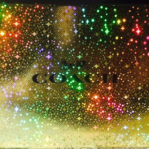 COACH Ladies Wallet & Keychain Matched Set